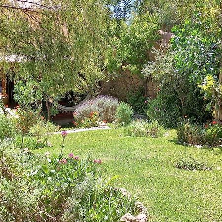 Apartamento En El Vivero ティルカラ エクステリア 写真