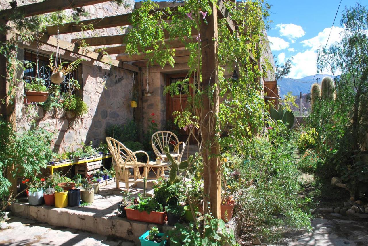 Apartamento En El Vivero ティルカラ エクステリア 写真