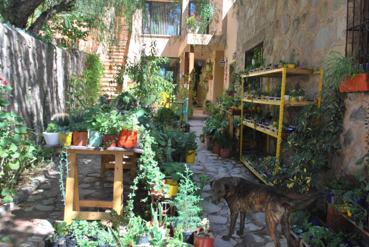 Apartamento En El Vivero ティルカラ エクステリア 写真