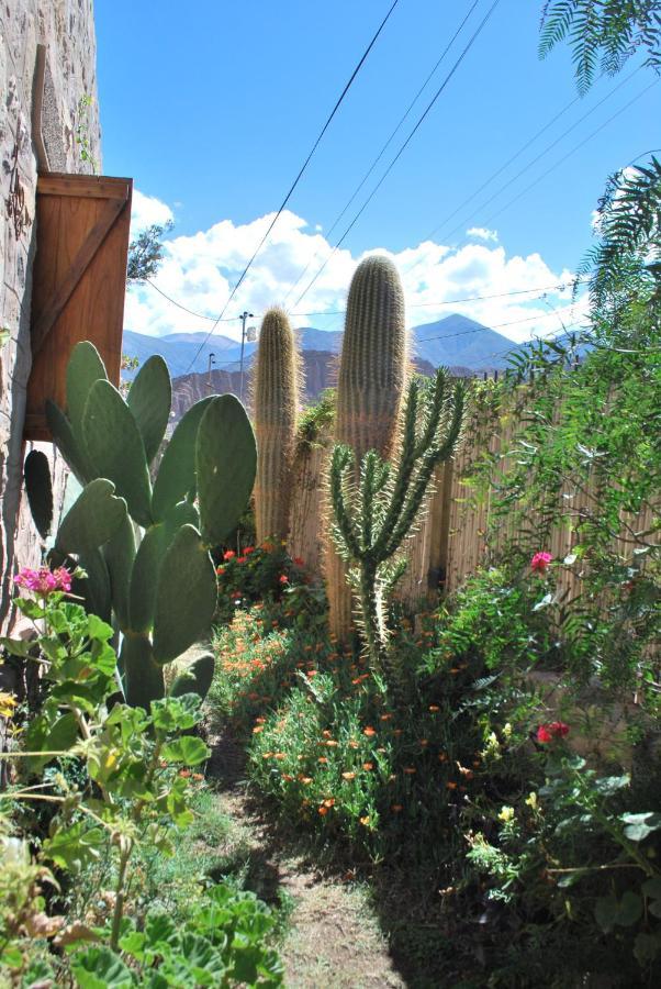 Apartamento En El Vivero ティルカラ エクステリア 写真