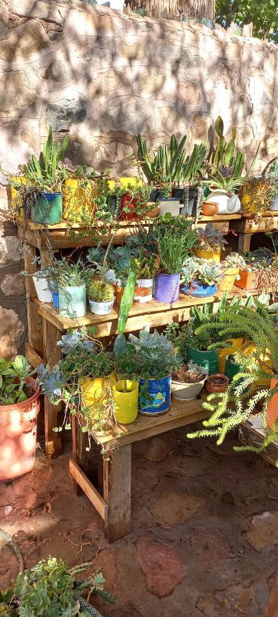 Apartamento En El Vivero ティルカラ エクステリア 写真